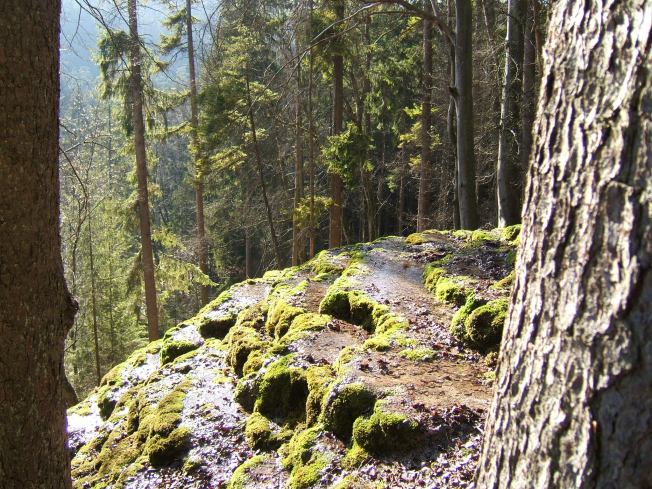 Hoherbrunnen3.JPG