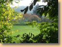 Herbstbild1.jpg