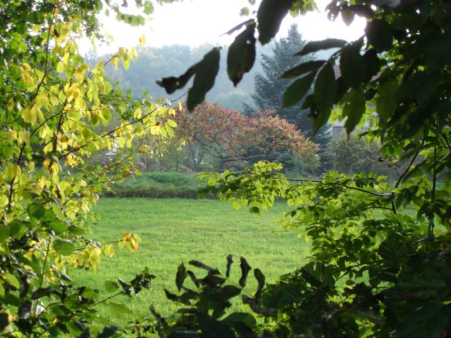 Herbstbild1.jpg