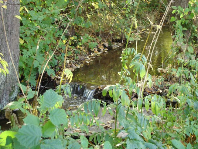 Kirchbach3.JPG